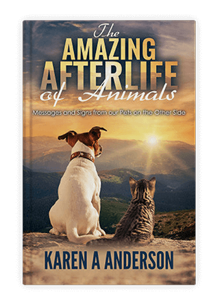 Savvy Book Marketing - US